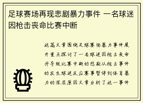 足球赛场再现悲剧暴力事件 一名球迷因枪击丧命比赛中断