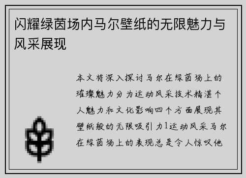 闪耀绿茵场内马尔壁纸的无限魅力与风采展现