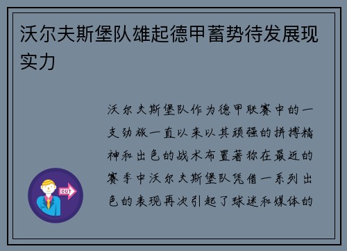 沃尔夫斯堡队雄起德甲蓄势待发展现实力