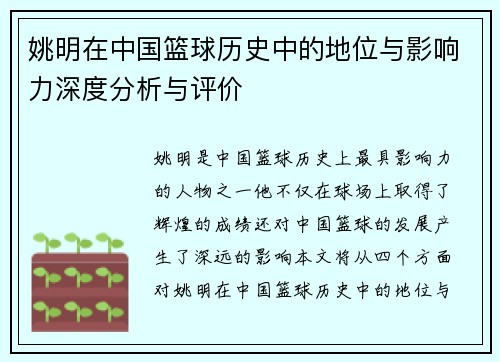 姚明在中国篮球历史中的地位与影响力深度分析与评价